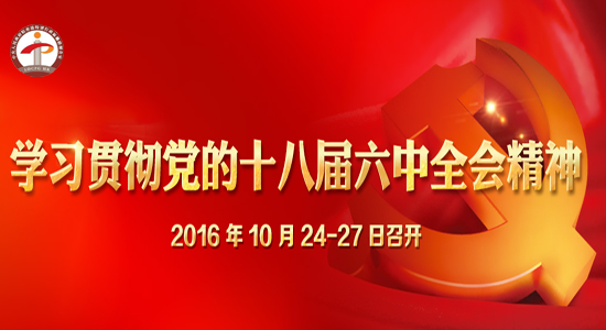 專題：學(xué)習(xí)貫徹黨的十八屆六中全會精神