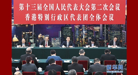 韓正參加全國人大香港代表團(tuán)審議