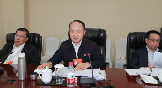 王志民在參加香港代表團(tuán)審議政府工作報告時的發(fā)言