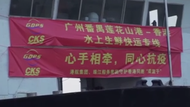 首批經(jīng)水路供港內(nèi)地蔬菜運(yùn)至香港