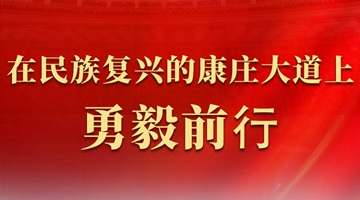 代表委員共話推進中國式現代化